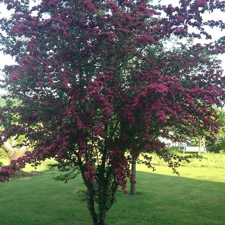 Werners Appartamento Insul