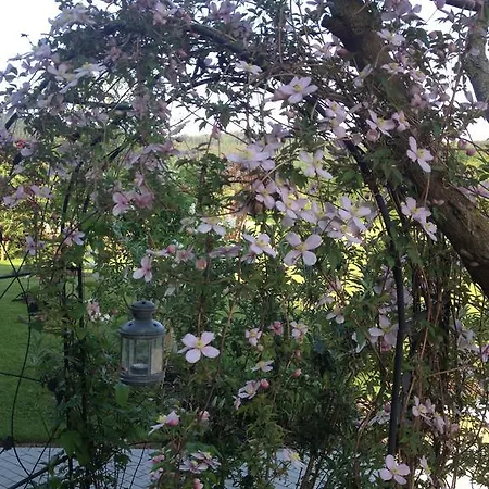 Werners Appartamento