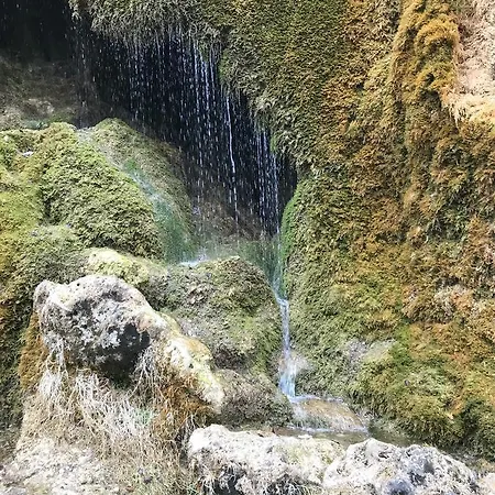 アパート Werners *