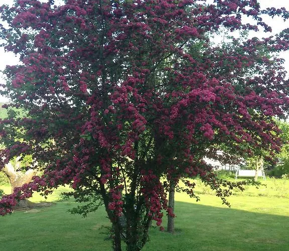 Werners דירה Insul